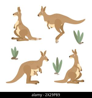 Cute kangaroo set. Australian animal character collection. Vector illustration of kangaroos in different poses Stock Vector