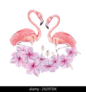 Two flamingo birds with hibiscus flowers watercolor composition. Hand drawn illustration isolated on white background. For tropical cards, invitations Stock Photo