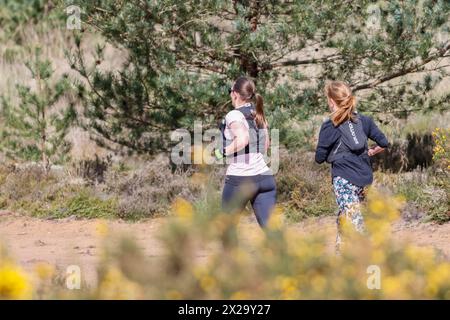 Hankley Common, Elstead. 21st April 2024. Sunny intervals and a brisk northerly wind across the Home Counties this morning. Hankley Common in Elstead, near Godalming, in Surrey. Credit: james jagger/Alamy Live News Stock Photo