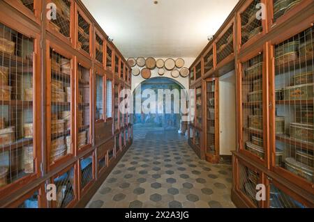 Showcases with wooden boxes for medicinal herbs in the ancient pharmacy (18th century) of the Trisulti Charterhouse, Collepardo, Lazio, Italy Stock Photo