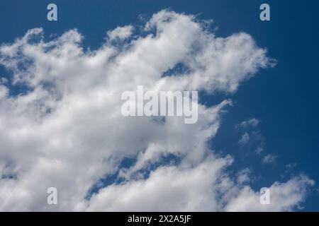 Billowy cumulus clouds seen in a crystal clear blue sky sky on a spring afternoon, 2024, United States. Stock Photo
