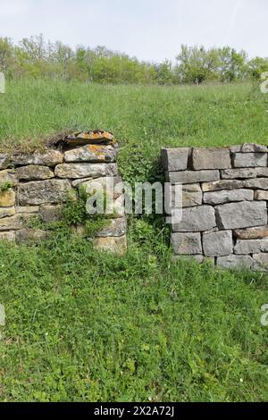 Stairs in a dry stone wall lead into a meadow Stock Photo