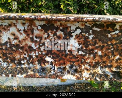 IMAGE POUVANT SERVIR DE TEXTURE Stock Photo