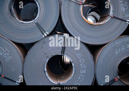 Steel sheet rolls, Port of Bilbao, Santurtzi. Biscay, Euskadi, Spain Stock Photo