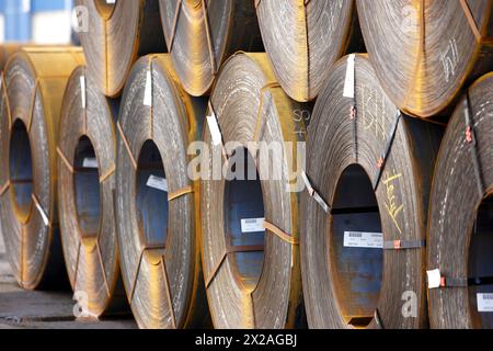 Rolls of sheet steel. Port of Bilbao, Biscay, Basque Country, Spain Stock Photo