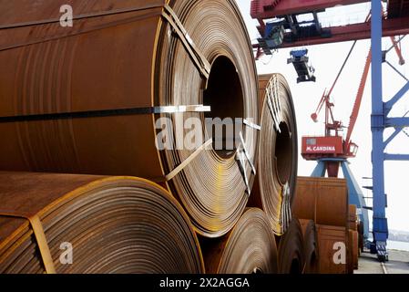 Rolls of sheet steel. Port of Bilbao, Biscay, Basque Country, Spain Stock Photo