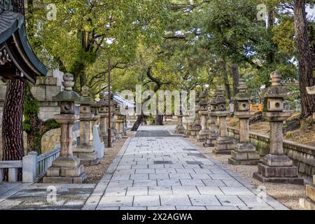 a path in a japanese shrine lined with stone lanterns and pine trees Stock Photo