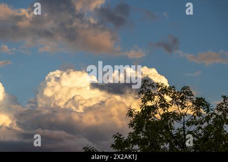 Golden hour clouds - billowing and illuminated from behind - silhouette of tree branches against a serene sky. Taken in Toronto, Canada. Stock Photo