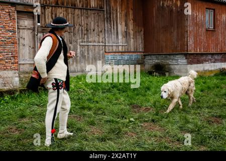 Ludzmierz, Poland April 21, 2024. A shepherd watches his shephard dog as grazing season begins with traditional folklore and religious celebrations, called locally Redyk, in Tatra mountains in Ludźmierz, Southern Poland. Redyk traditionally begins around 23 of April, a time when shepherds, locally called Baca, take flocks of sheep from villages uphill, away from civilization for the grazing season, which lasts about half a year. The beginning of the season is a festive time for the highlanders from Tatra and this part of Karpaty as sheep farming historically is a major source of income for the Stock Photo