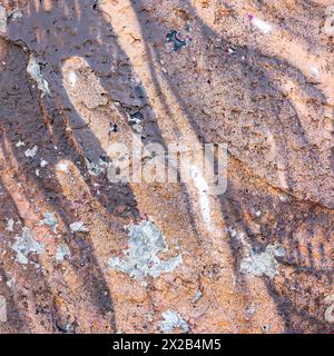 A square photo of an old cracked plastered wall painted with brown paint. Stock Photo