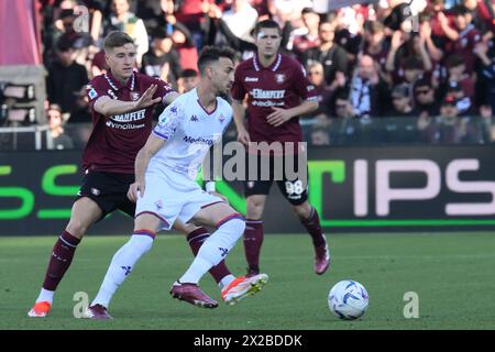 Salerno, Italy. 21st Apr, 2024. during the Serie A Match Between US Salernitana 1919 vs AC at Arechi Stadium Credit: Independent Photo Agency/Alamy Live News Stock Photo