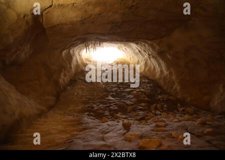 Lascaux IV, International Center for Cave Art (Centre international de l'art pariétal) presents, among other things, a complete facsimile of all the d Stock Photo