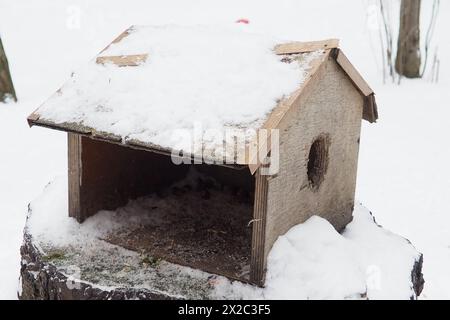 Hanging homemade feeder or platform for feeding birds and squirrels in winter and spring during hungry times. Feeders for birds and squirrels in a Stock Photo