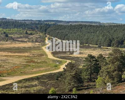 Hankley Common, Elstead. 21st April 2024. A bright but cool morning across the Home Counties. Sunny intervals greeted two mountain bikers at Hankley Common near Godalming in Surrey. Credit: james jagger/Alamy Live News Stock Photo