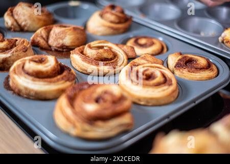 Freshly baked cinnamon rolls cooling in a muffin tin, with a golden cinnamon swirl visible, kitchen setting, delicious homemade desserts. High quality Stock Photo