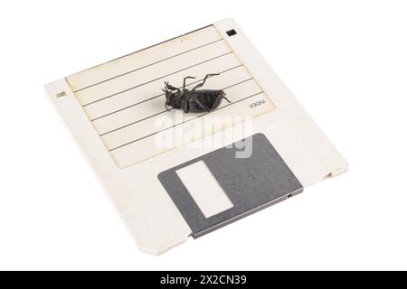 Bug on retro floppy diskette. Computer error concept. Isolated on white ...