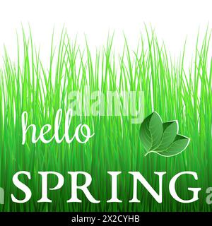 White phrase Hello Spring on green grass and with green leaves. Stock Vector