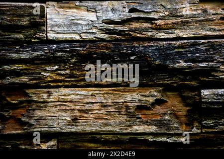 The rotten wood is neatly arranged. Suitable for background or template Stock Photo