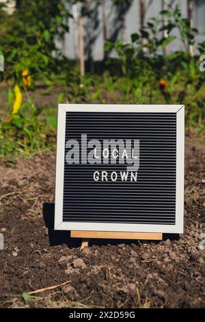 Letter board with text LOCAL GROWN on background of garden bed with bell peppers. Organic farming, produce local vegetables concept. Supporting local farmers. Seasonal market  Stock Photo