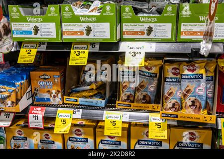 Dog oral teeth care, Australian supermarket selling pedigree dentastix and whimzees dental treats to provide healthy gums and teeth for dogs Stock Photo