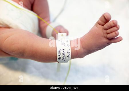 Newborn baby, pediatrics. Hospital Policlinica Gipuzkoa, San Sebastian, Donostia, Euskadi, Spain Stock Photo