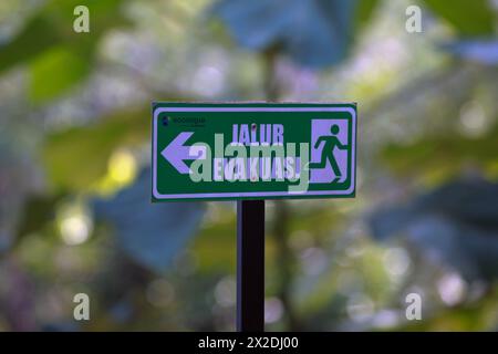 evacuation route sign with leaf background blur Stock Photo