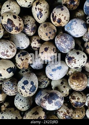 top view of quail eggs Stock Photo