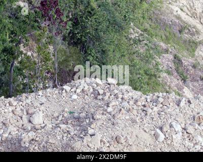 limestone texture in the mountains. Rock texture background Stock Photo