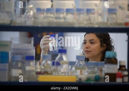 Researcher working in laboratory, Fundación Inbiomed, Genetrix Group. Center for research in stem cells and regenerative medicine. Donostia, San Sebas Stock Photo