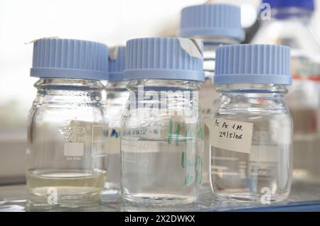 Bottles with chemical solutions. Laboratory, Fundación Inbiomed, Genetrix Group. Center for research in stem cells and regenerative medicine. Donostia Stock Photo