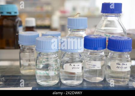 Bottles with chemical solutions. Laboratory, Fundación Inbiomed, Genetrix Group. Center for research in stem cells and regenerative medicine. Donostia Stock Photo