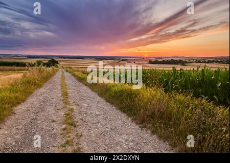 Ascending a hill, a dirt road passes through fields of ripening grain, leading towards the setting sun Stock Photo