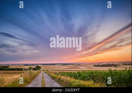 A dirt road on a hill between fields of ripening grain leading towards the setting sun Stock Photo