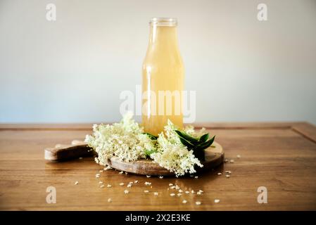 Spring taste with front view Elderflower cordial on wooden table surrounded by white Elderflowers. Seasonal elder flower drink by white Elder flowers Stock Photo