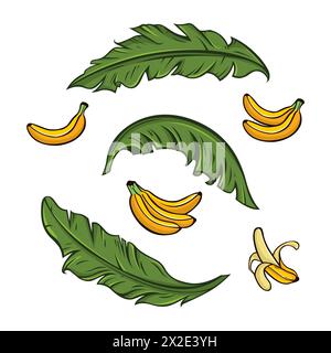 Banana vector and banana leaf Icon Set. banana icon vector Stock Vector