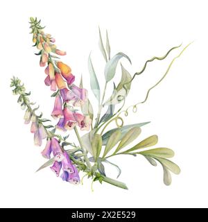 Hand drawn watercolor illustration shabby boho botanical flowers leaves. Willow eucalyptus branch, tendrils, foxglove snapdragon lupin. Bouquet Stock Photo