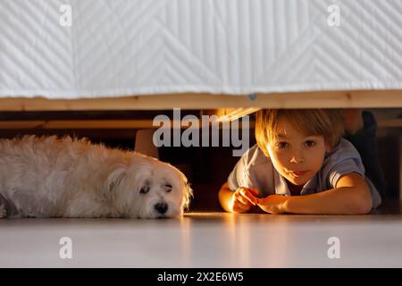 Little preschool child, hiding under the bed with his dog,  holding flashlight at home Stock Photo