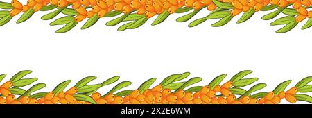 Banner template with  sea buckthorn branches, frame border background, vector on white background. For different design, Stock Photo