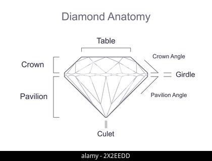 Round brilliant cut diamond side and top views. Outline icon with ...
