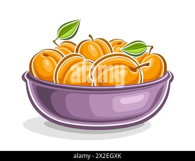 Vector logo for Apricot, decorative horizontal poster with outline illustration of orange apricot composition with green leaves on stem, cartoon desig Stock Vector