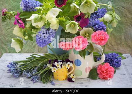 botany, Hellebores, camellias, pansies, anemone, ADDITIONAL-RIGHTS-CLEARANCE-INFO-NOT-AVAILABLE Stock Photo