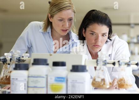 Physical Chemical Laboratory, Azti-Tecnalia, Marine and Food Research Technological Centre, Derio, Biscay, Basque Country, Spain Stock Photo