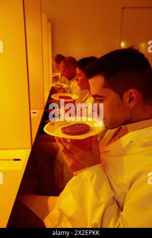 Sensory Laboratory, food analysis, Azti-Tecnalia, Marine and Food Research Technological Centre, Derio, Biscay, Basque Country, Spain Stock Photo