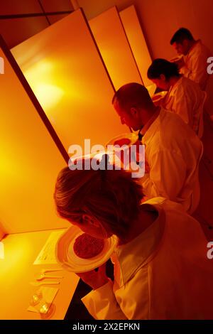 Sensory Laboratory, food analysis, Azti-Tecnalia, Marine and Food Research Technological Centre, Derio, Biscay, Basque Country, Spain Stock Photo