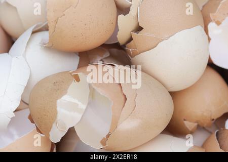 Stack of broken and dry eggshells Stock Photo