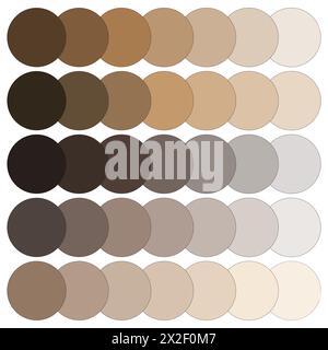 Neutral color palette guide. Earth tone selection. Grayscale variation. Vector illustration. EPS 10. Stock Vector