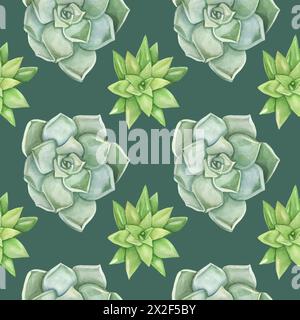 Seamless botanical pattern with succulents. Echeveria plants on a green background. Stock Photo