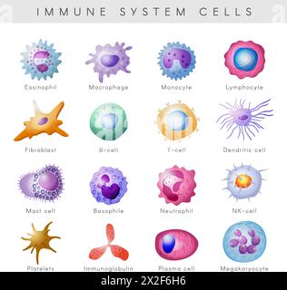 Immune system cells. Defense viruses macrophage immune monocyte lymphocyte pictures in cartoon style recent vector set Stock Vector