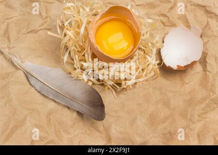 Broken egg on straw. Eggshell and bird feather on table. Brown background from crumpled paper. Flat lay Stock Photo