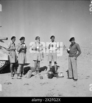 THE BRITISH ARMY IN NORTH AFRICA 1942 - General Montgomery enjoys a cup of coffee with the Tank Protection Troop of his Grant tank in the Western Desert, 6 November 1942. Left to right: Trooper Keenan, Sergeant Stephen Kennedy, Corporal James Fraser, Lieutenant Malden and General Montgomery Montgomery, Bernard Law Stock Photo